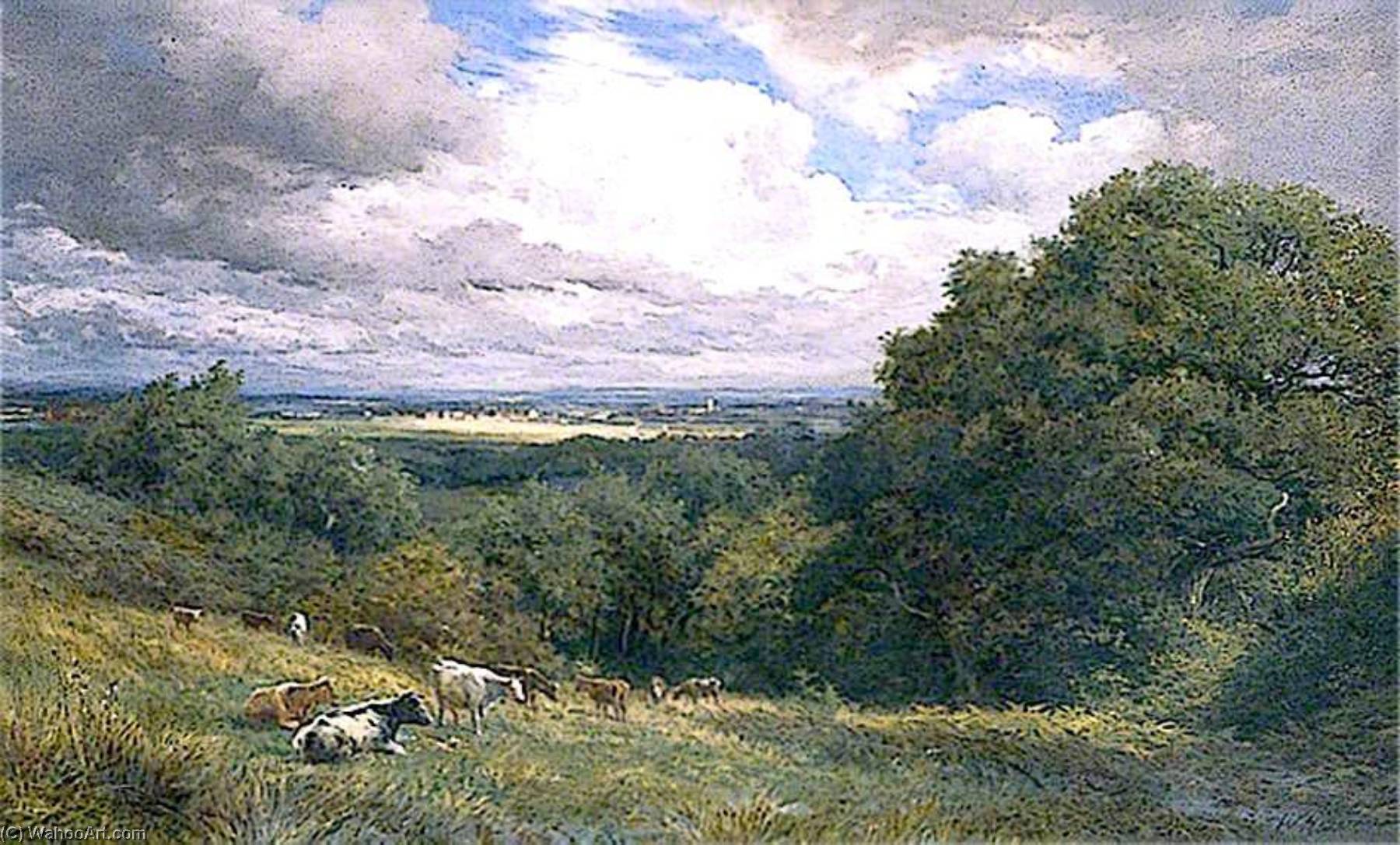 Hastings, East Sussex, Looking Towards Westfield — William Henry Borrow