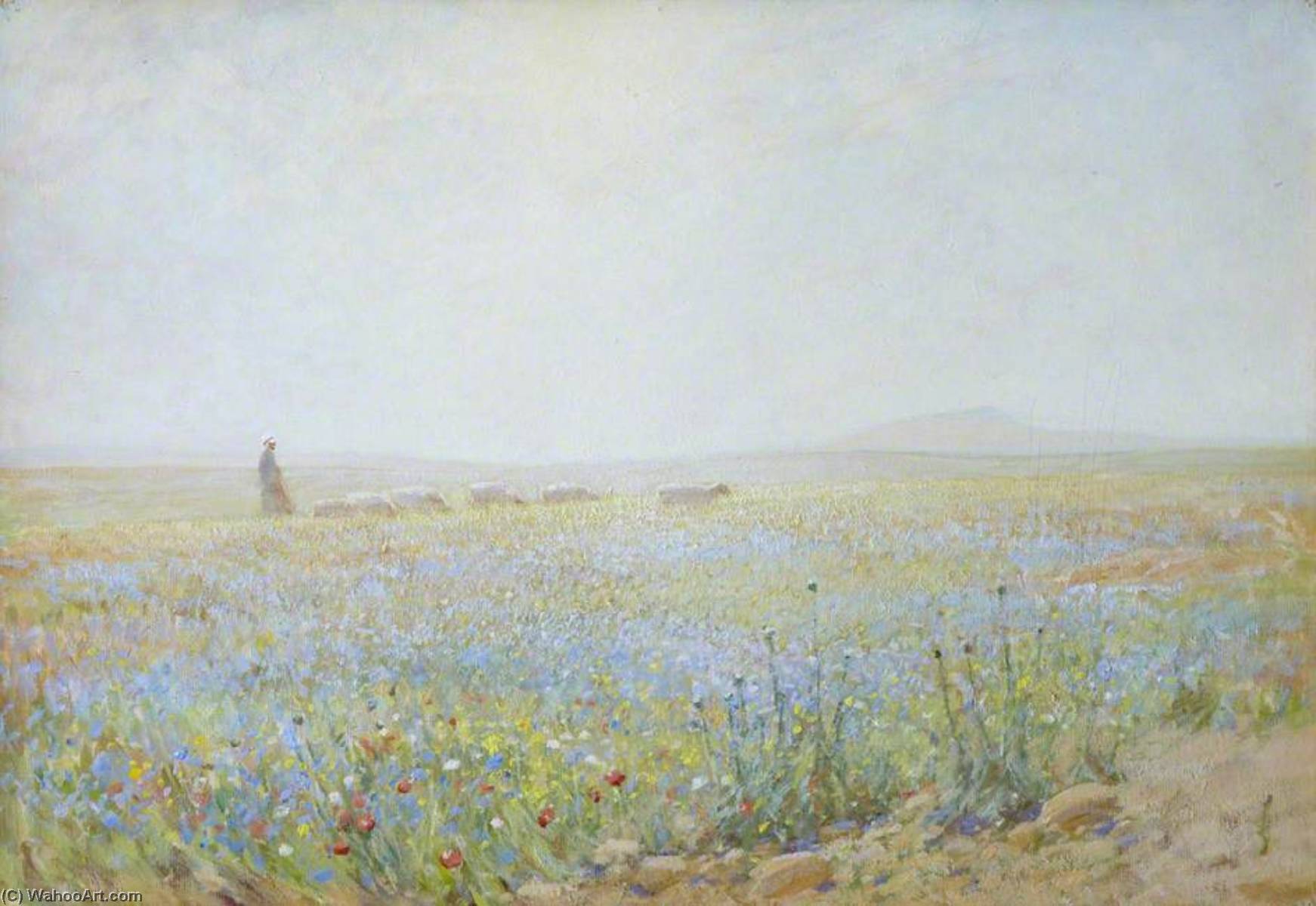 The Flowers Of The Fields — Lindsay Grandison Macarthur