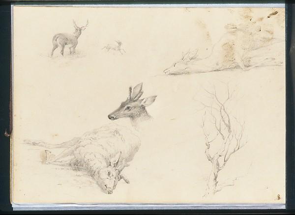 Sketchbook Of Landscape And Animal Subjects — Thomas Hewes Hinckley