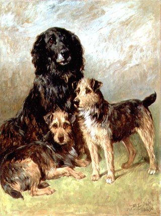 Family Pets — John Emms