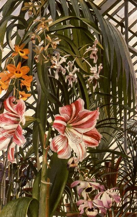 Orchids, Lilies, Palms — Sir Stanley Spencer