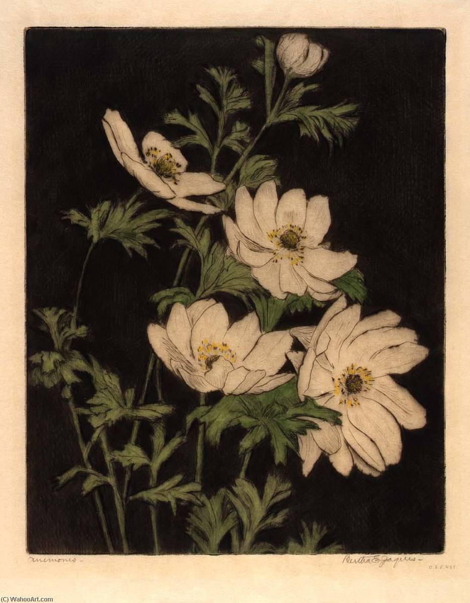 Anemones — Bertha Evelyn Jaques