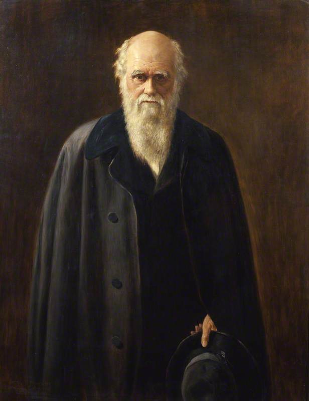 Charles Darwin (1809–1882) (after John Collier) — Mabel Beatrice Messer