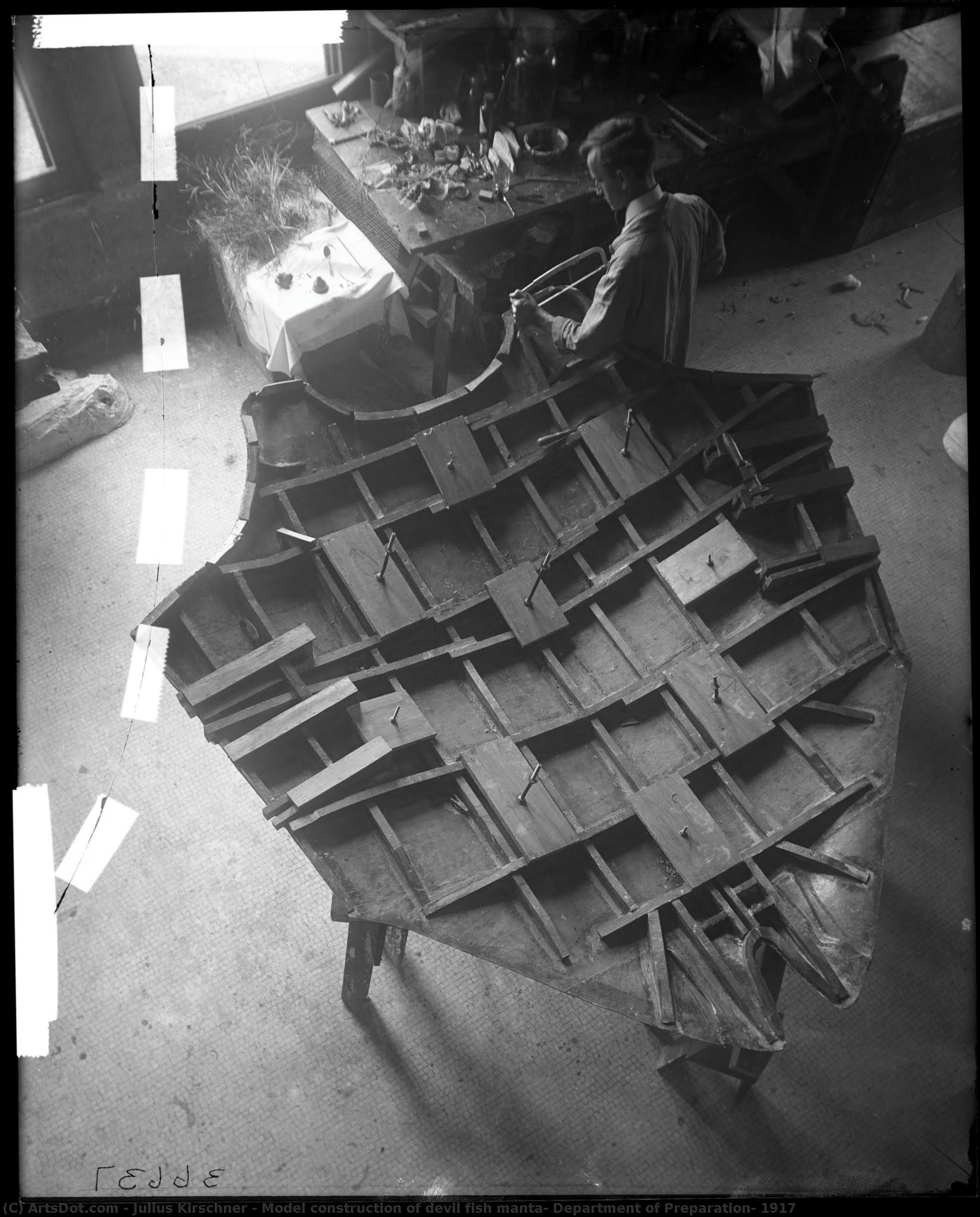 Model Construction Of Devil Fish Manta, Department Of Preparation, 1917 — Julius Kirschner