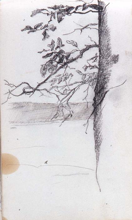 View Of Ocean Through Branches On Side Of Tree — John La Farge