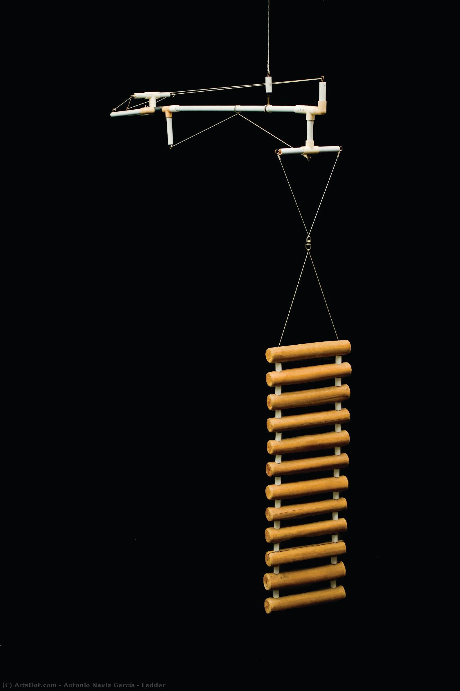 Ladder — Antonio Navia García