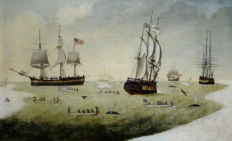 'munificence' And Other Whalers In The Arctic — Robert Willoughby