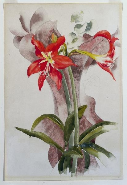 Amaryllis — Charles Demuth