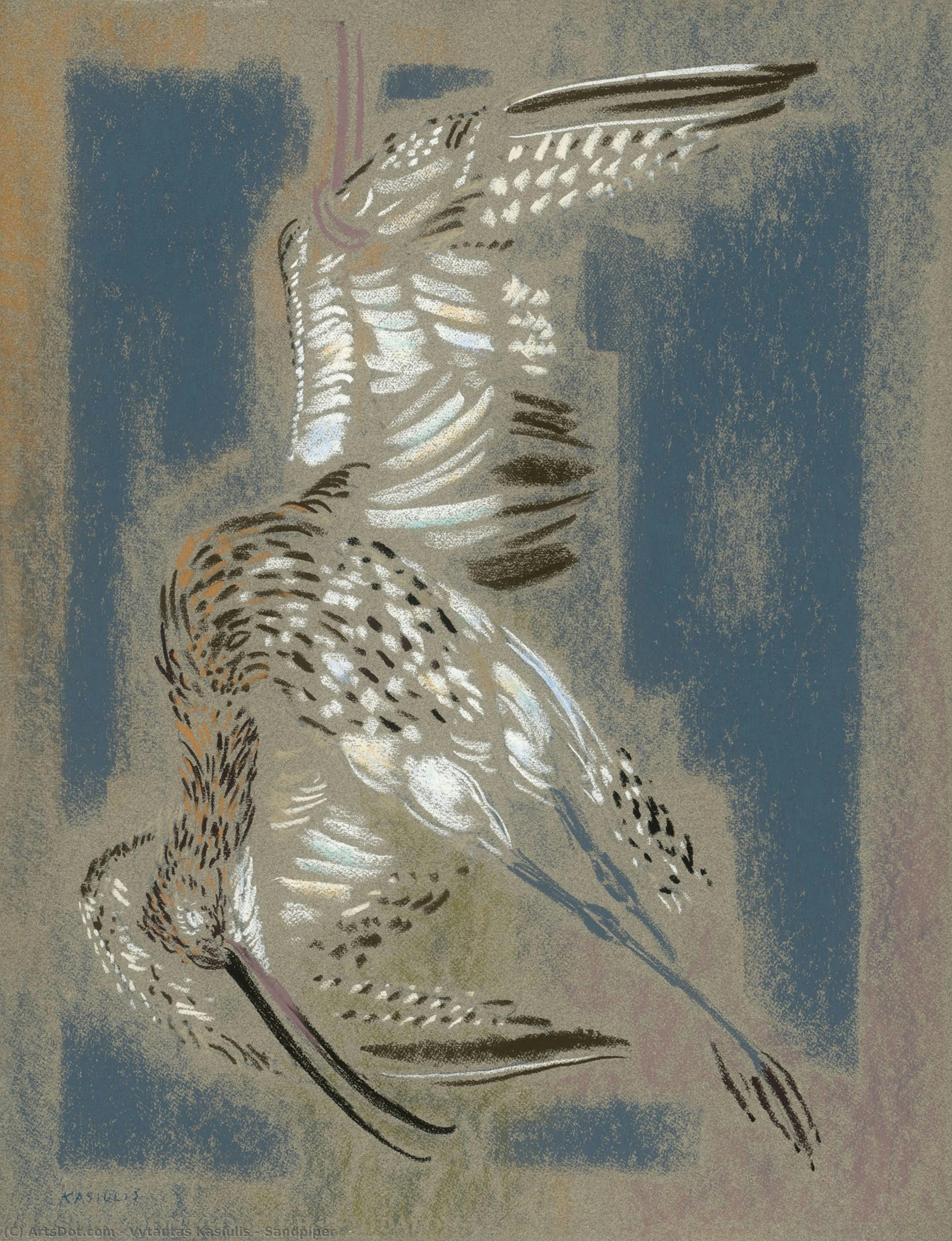Sandpiper — Vytautas Kasiulis
