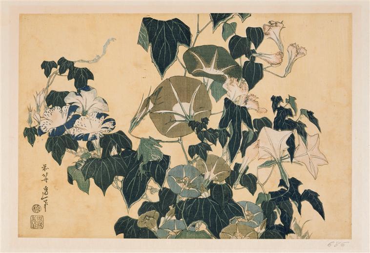 Volubilism And Pippin — Katsushika Hokusai