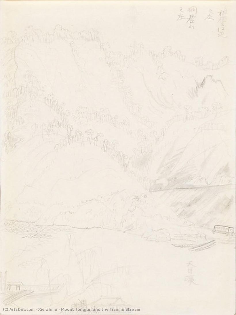 Mount Tongjun And The Tianmu Stream — Xie Zhiliu