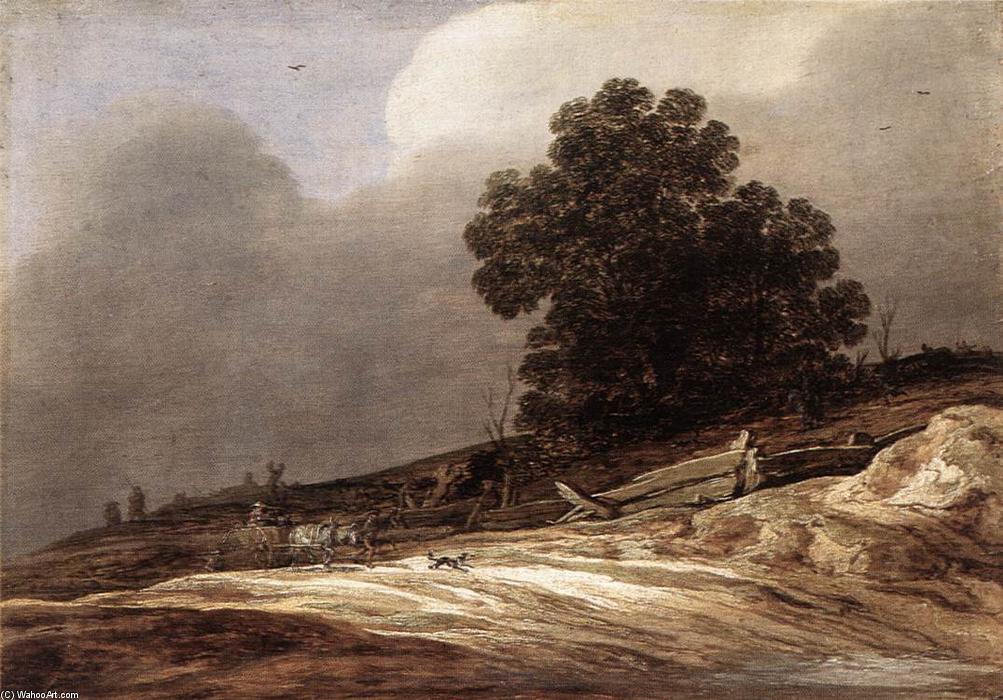 Dunes — Pieter De Molyn