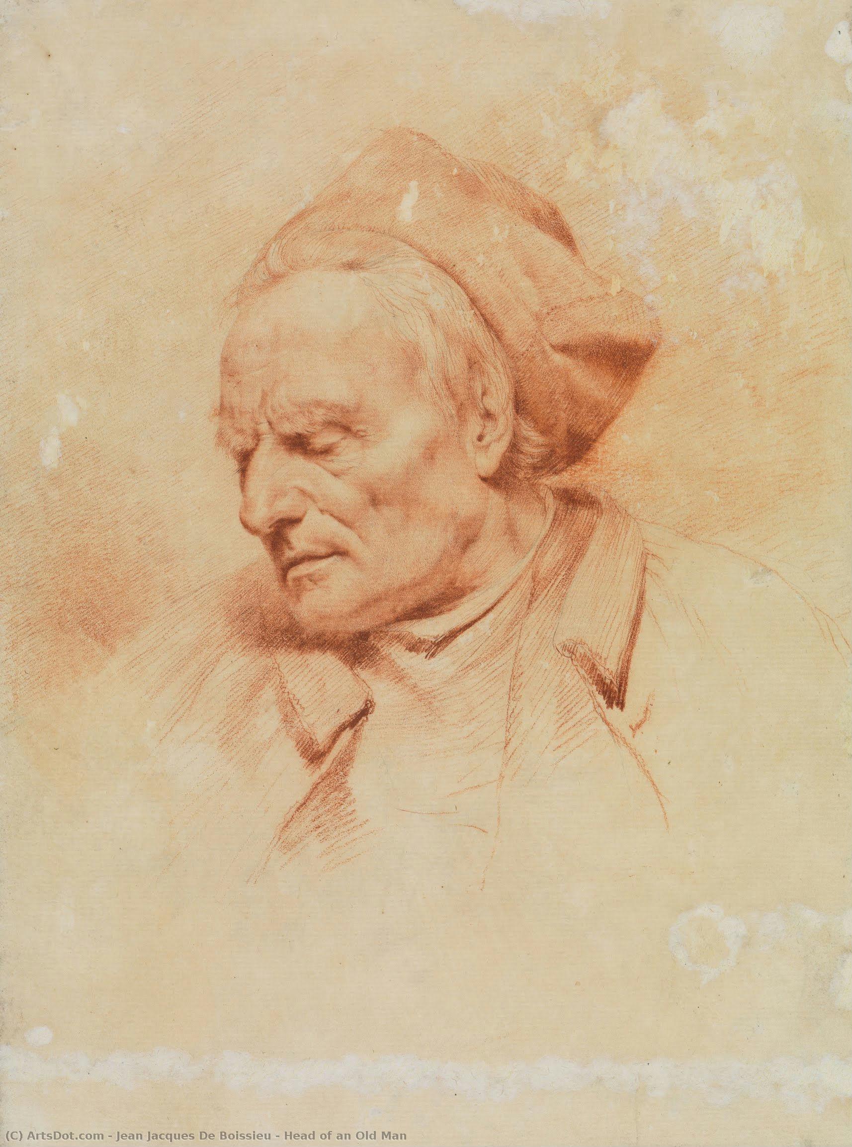 Head Of An Old Man — Jean Jacques De Boissieu