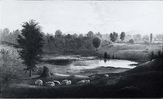 Countryside Scene Of Sheep, (painting) — William Woodruff Gibbs