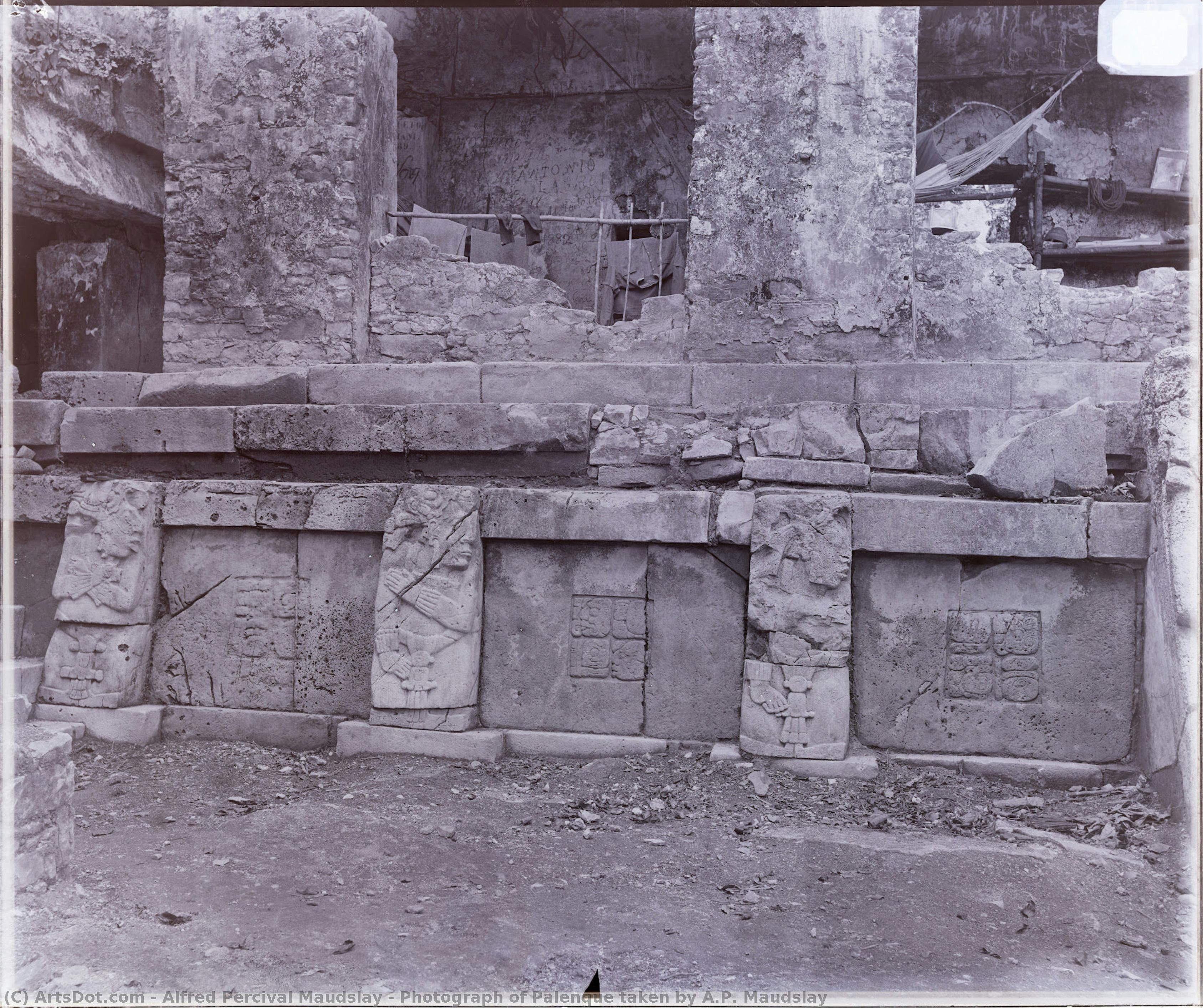 Photograph Of Palenque Taken By A.p. Maudslay — Alfred Percival Maudslay