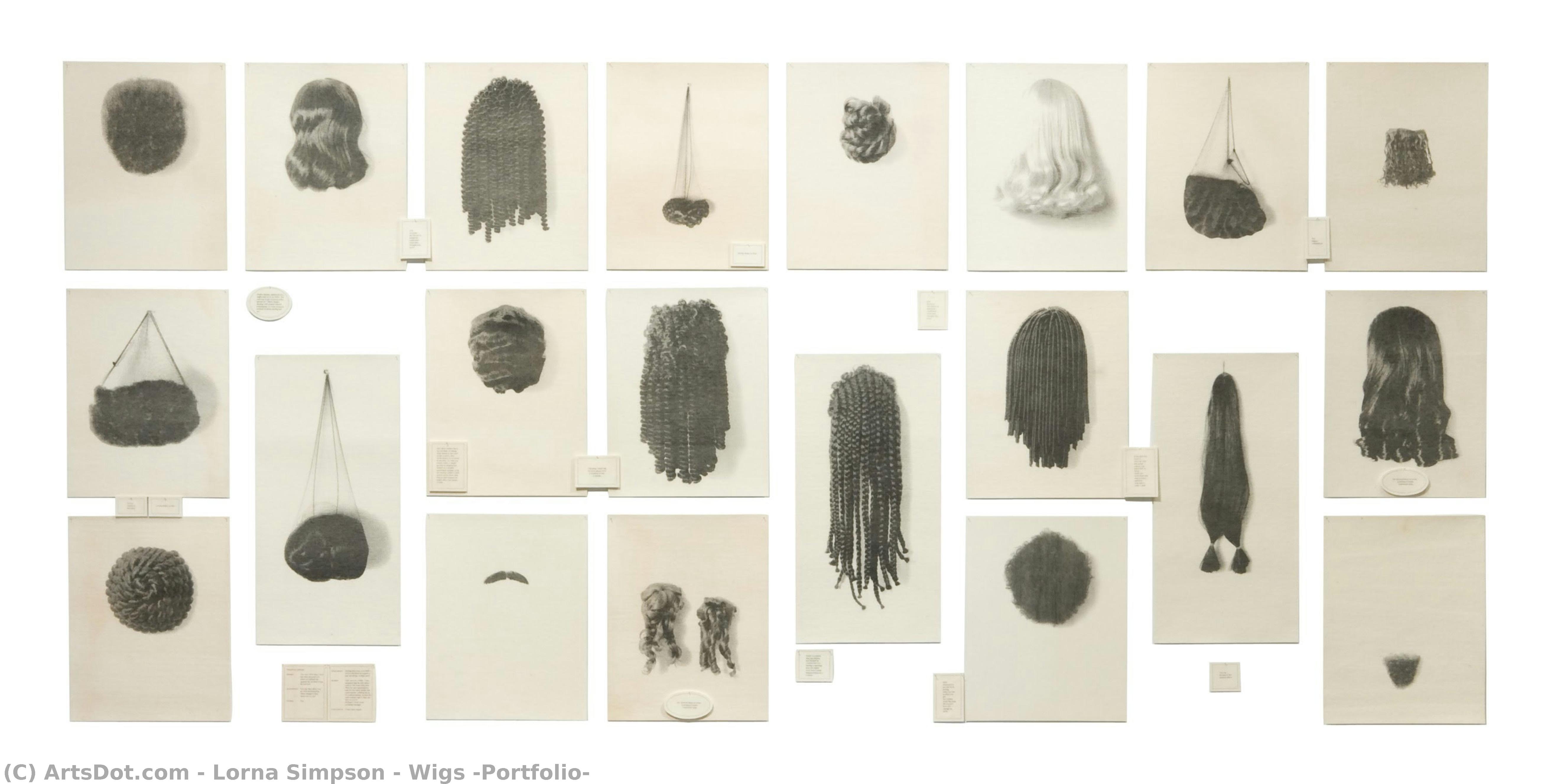 Wigs (portfolio) — Lorna Simpson