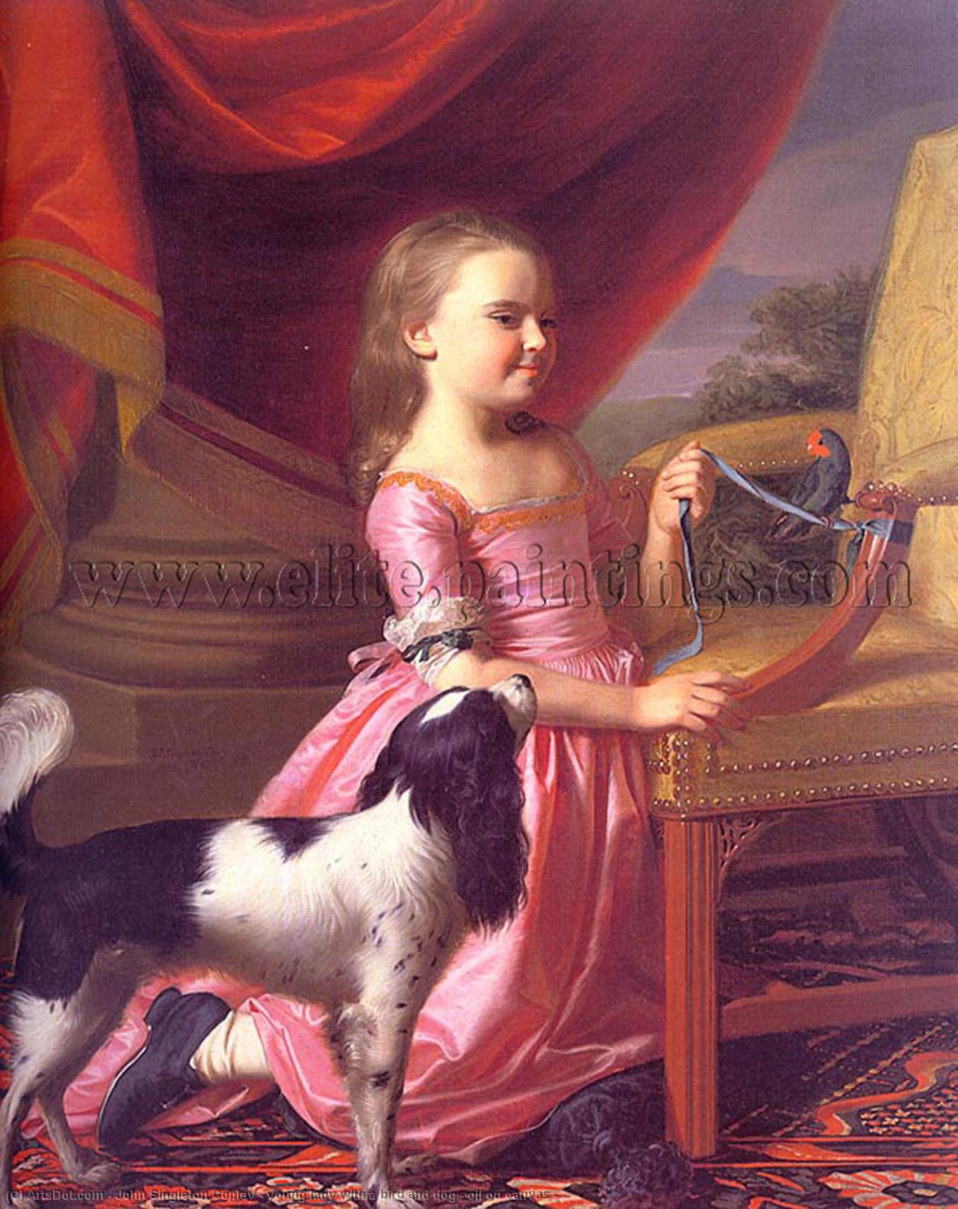 Young Lady With A Bird And Dog - Oil On Canvas - — Džon Singlton Koplej
