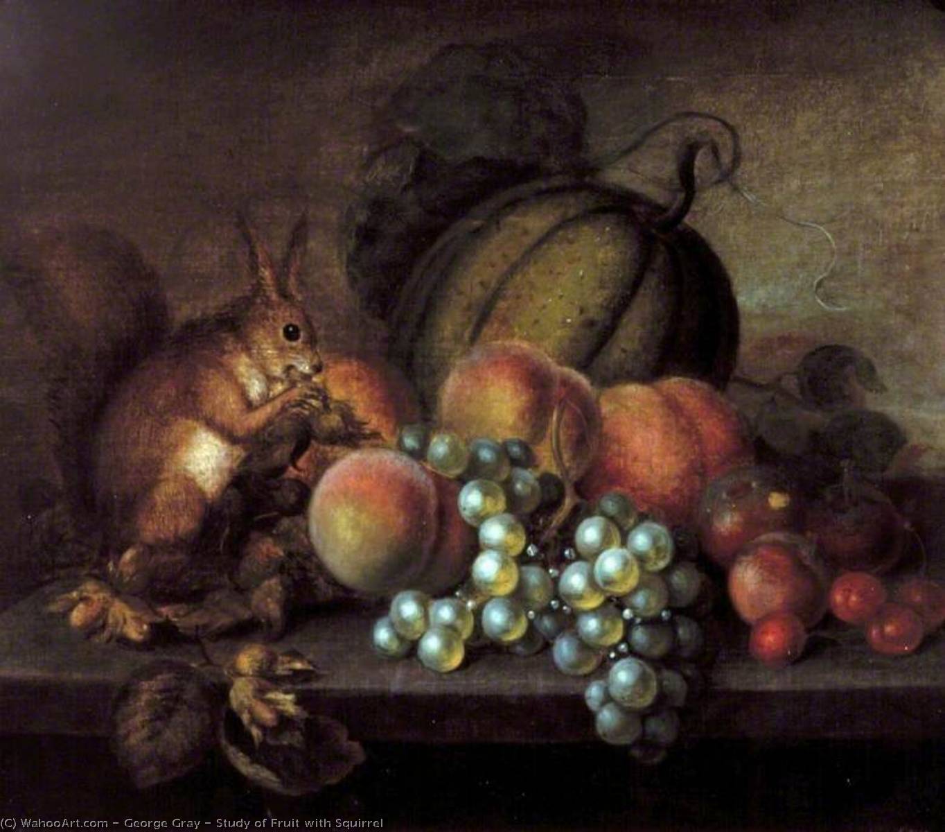 Study Of Fruit With Squirrel — George Gray