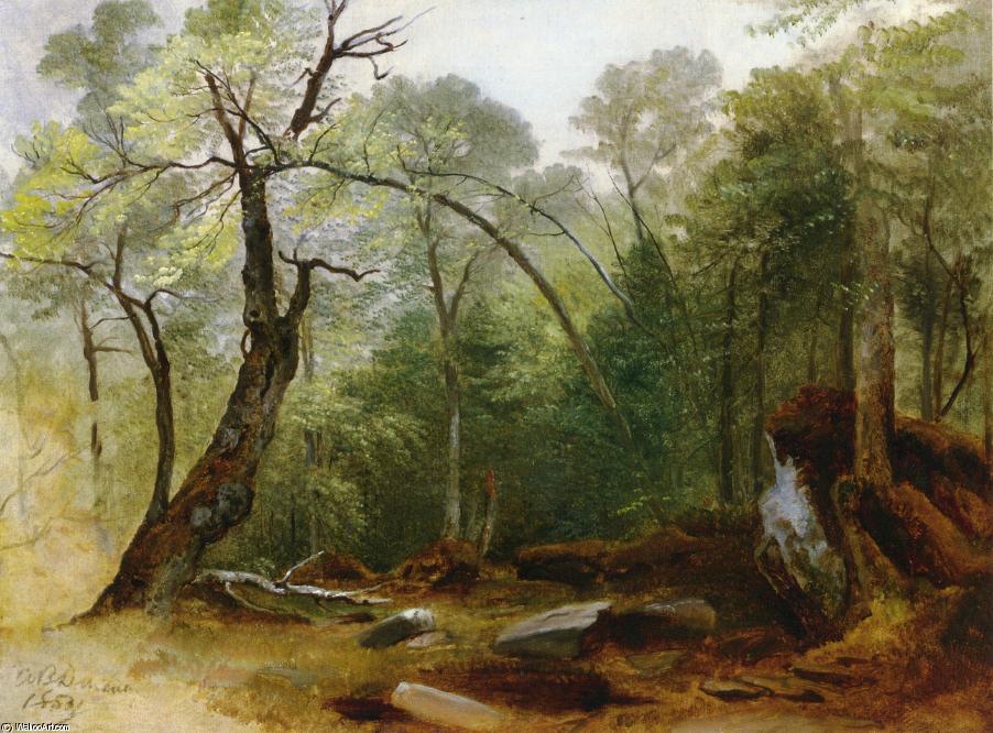 Study In The Woods — Ашер Браун Дюран
