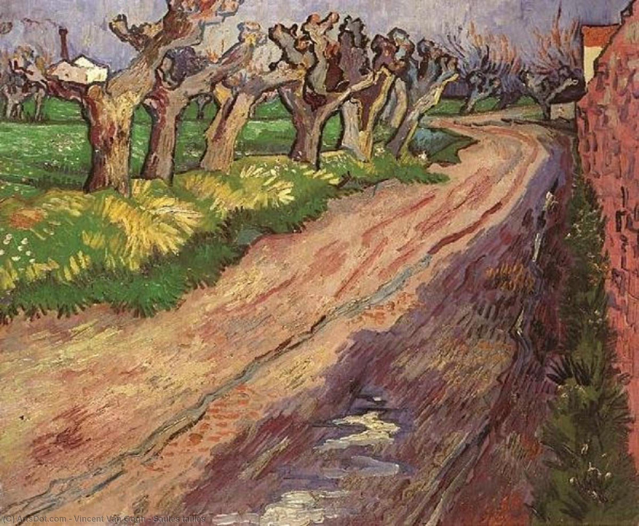 Sonnenuntergang Mit Bäumen — Vincent Willem Van Gogh