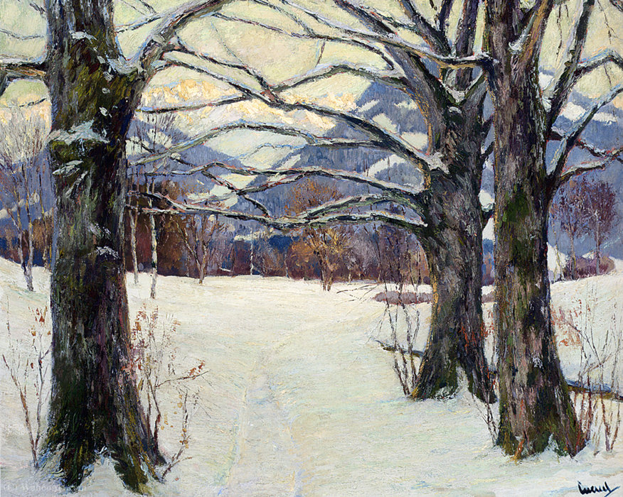 Beschneite Buchen — Edward Cucuel