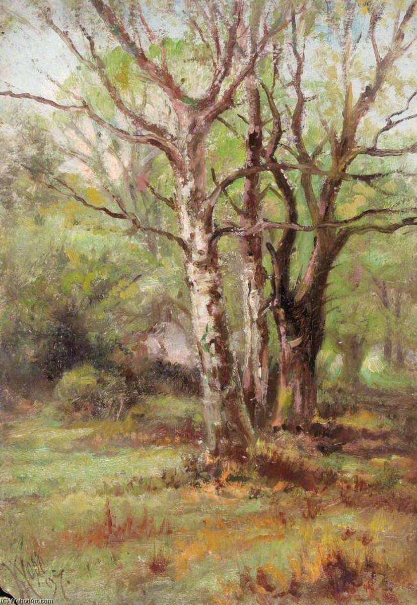 Near Addington Hills, Croydon, Surrey — William Henry Hope