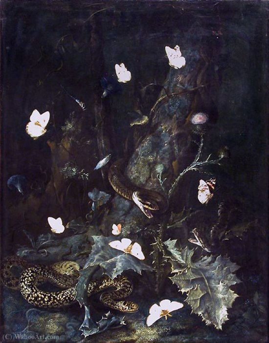 A Forest Floor With Snakes And Butterflies — Otto Marseus Van Schrieck