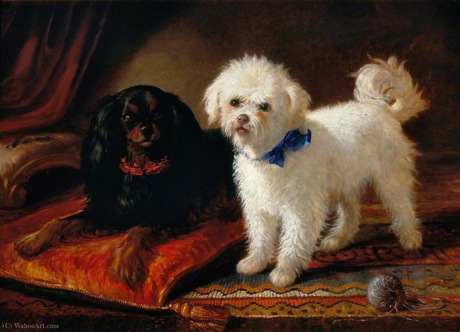 Two Dogs — Joseph Denovan Adam