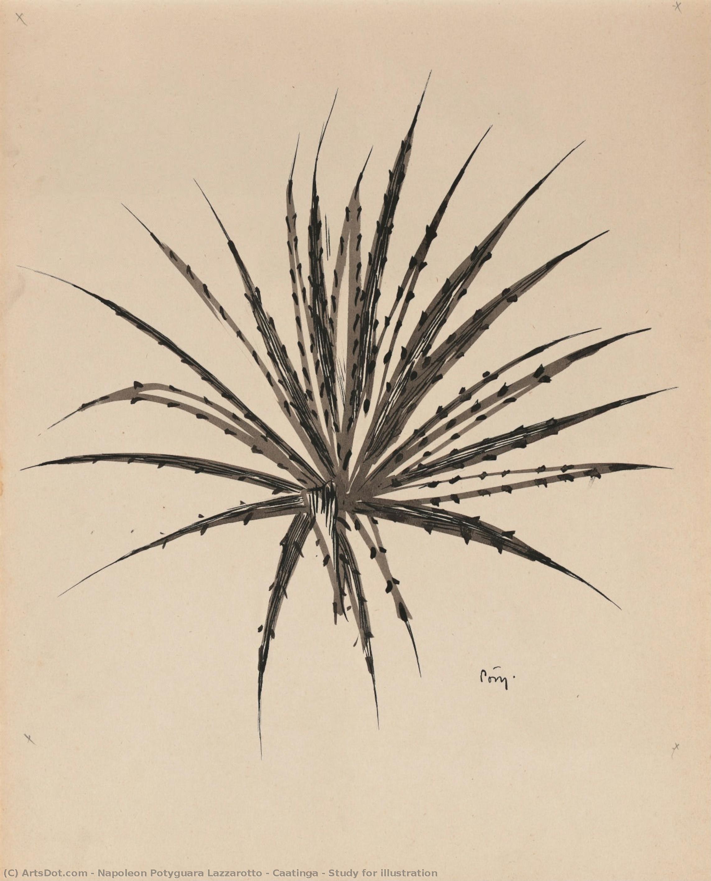 Caatinga - Study For Illustration — Napoleon Potyguara Lazzarotto