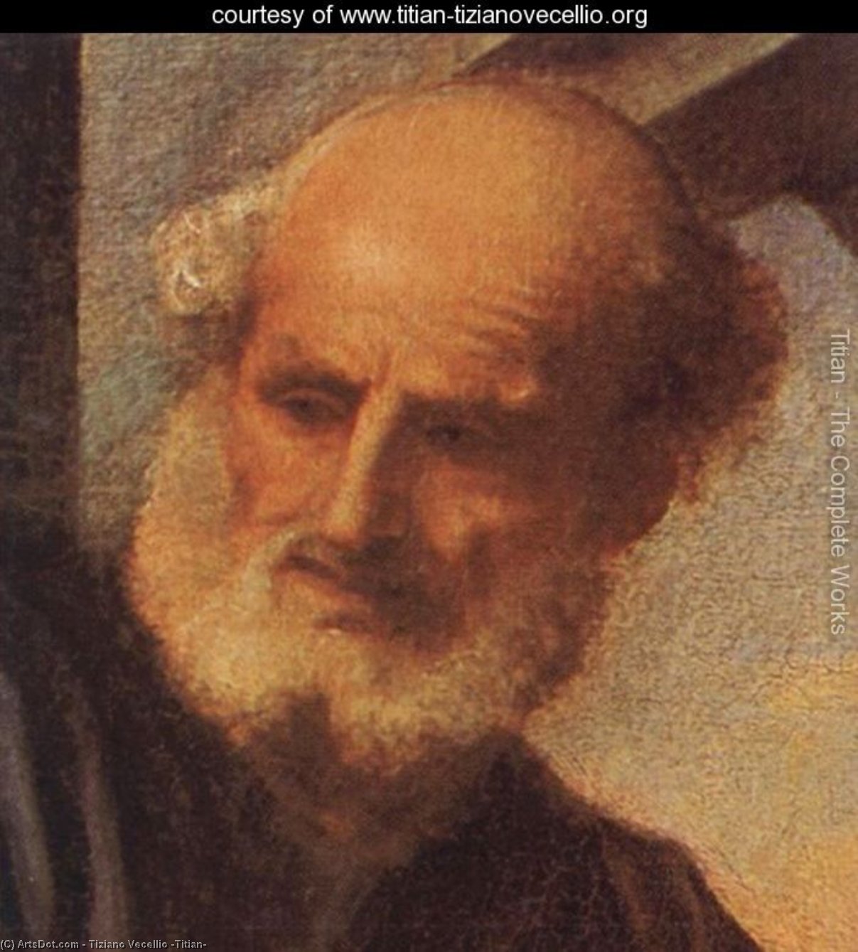 Madonna Mit Heiligen Und Mitgliedern Der Familie Pesaro (detail) — Tizian