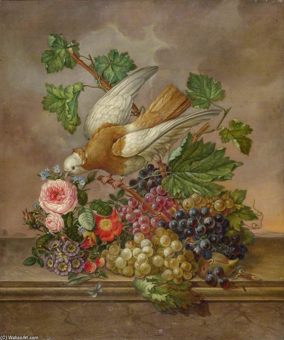 Flowers, Grapes And Dove On A Stone Ledge — Jan Van Os