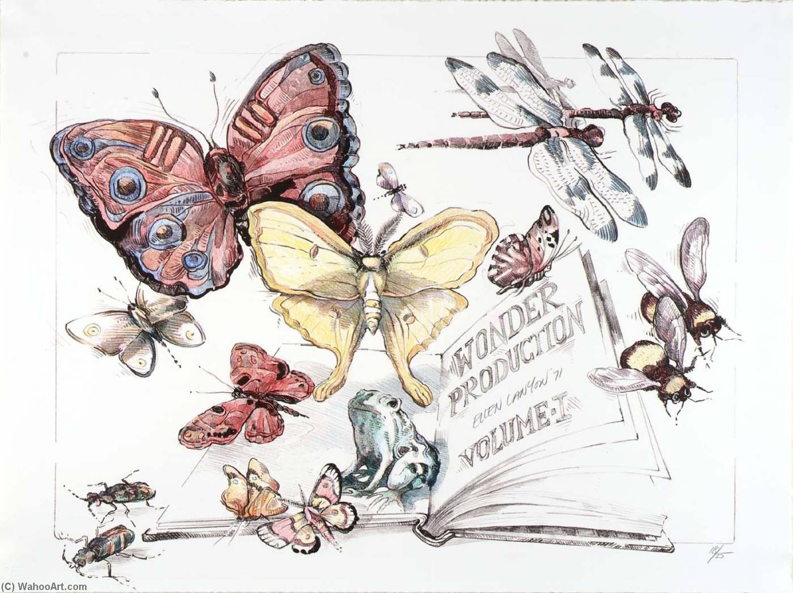 (wonder Production Volume I) Title Page — Ellen Lanyon