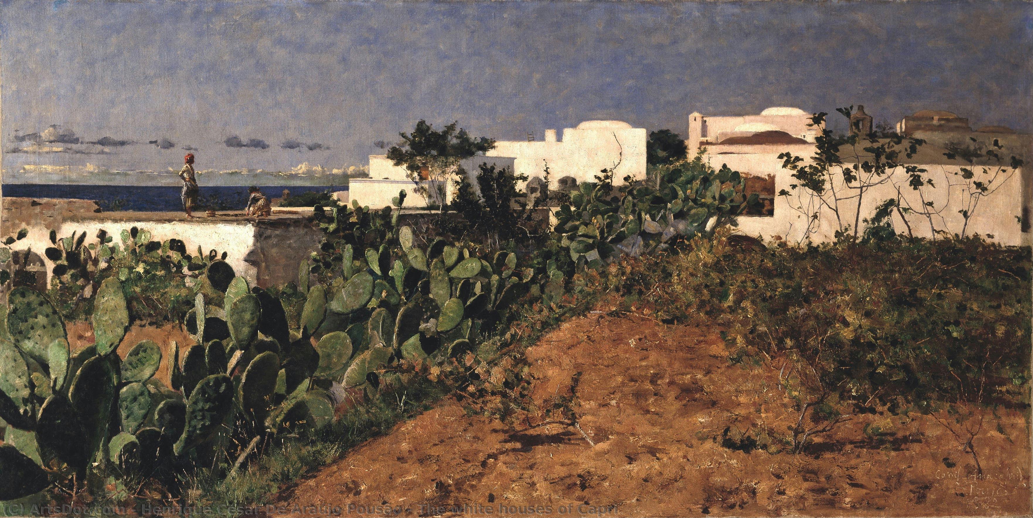 The White Houses Of Capri — Henrique César De Araújo Pousão