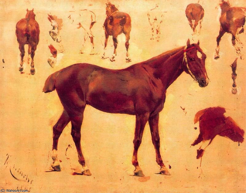Study Of Horses — Josip Kusaks I