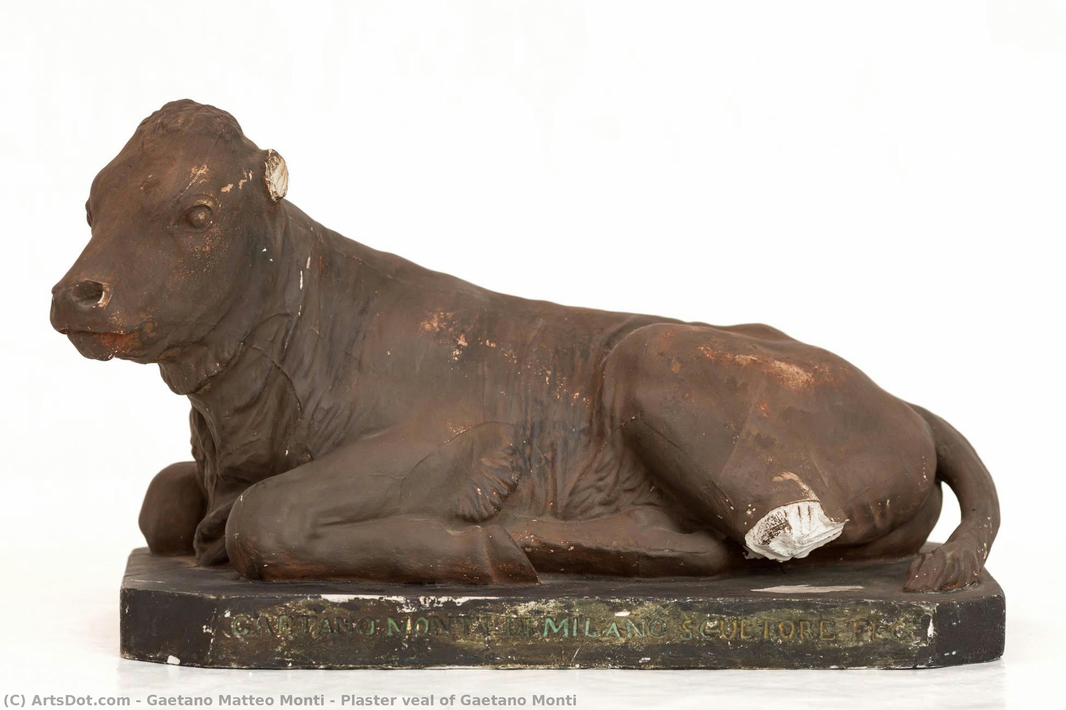 Plaster Veal Of Gaetano Monti — Gaetano Matteo Monti