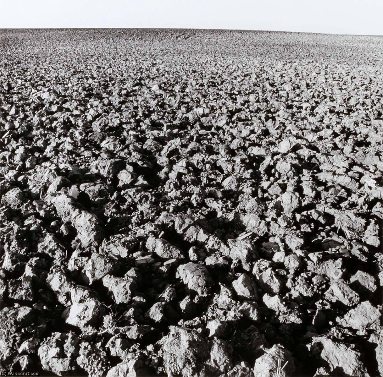 Field, Clay County, From The Kansas Documentary Survey Project — Larry W Schwarm