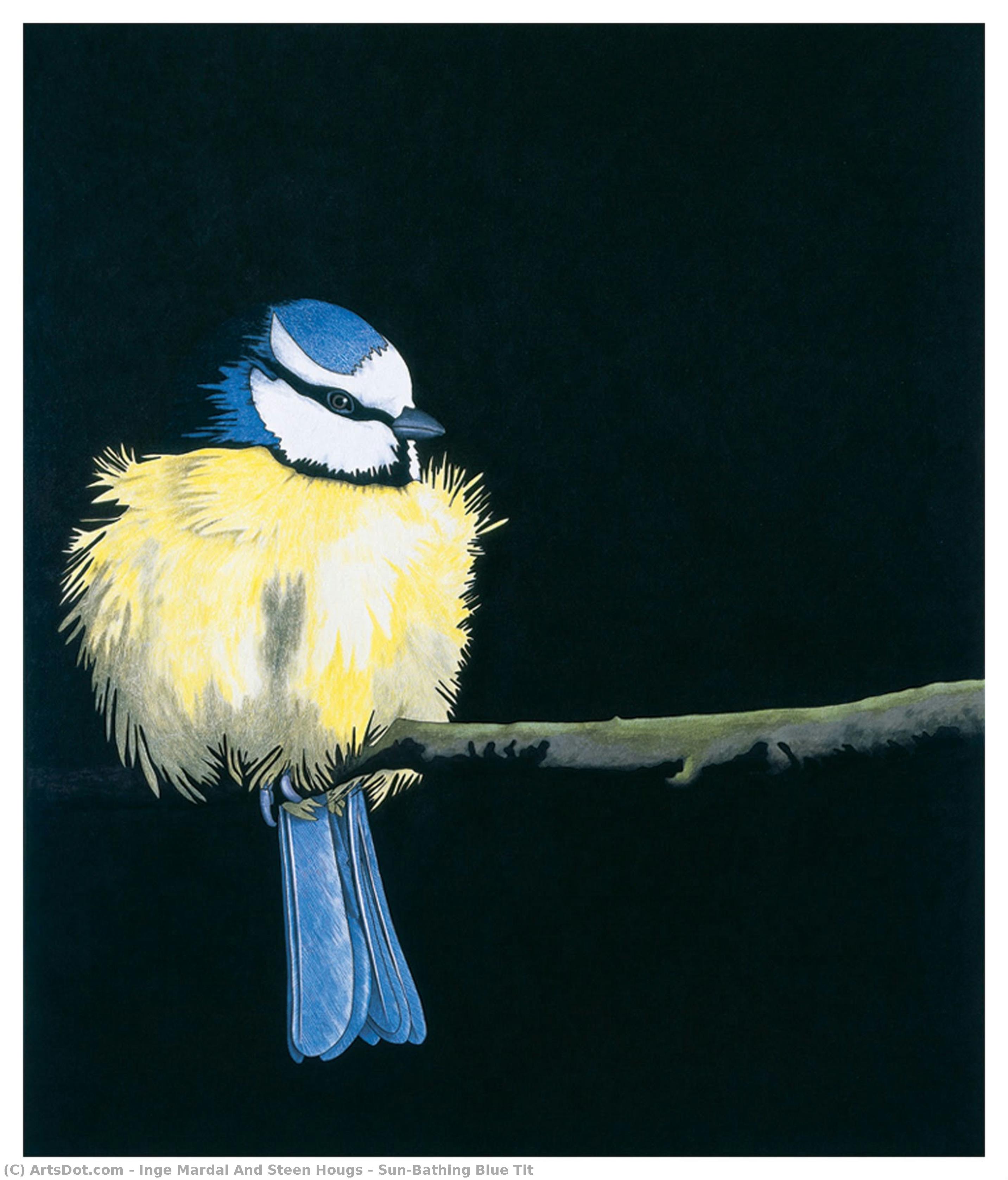 Sun-bathing Blue Tit — Inge Mardal And Steen Hougs