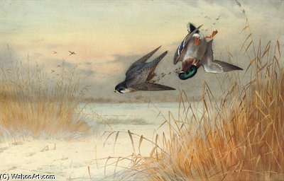 Killed As He Reaches Cover — Archibald Thorburn