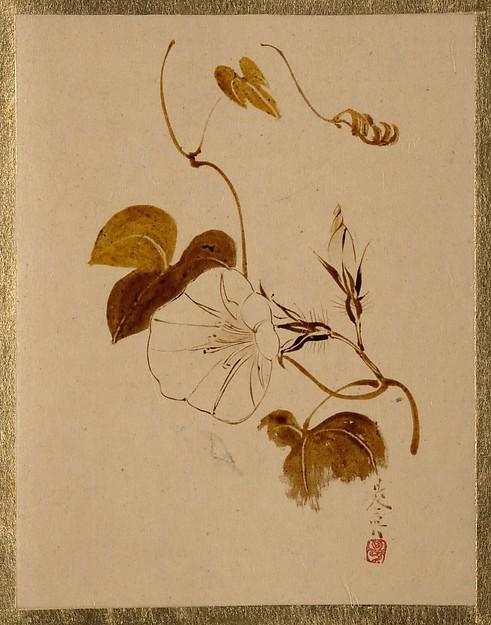 Morning Glory — Shibata Zeshin