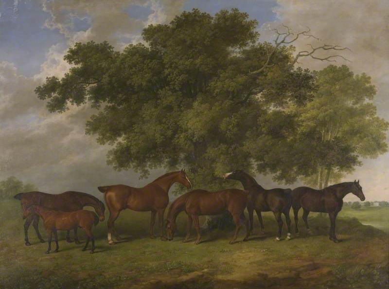 The Theobald Stud — James Barenger
