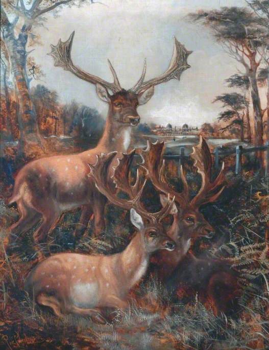 Three Stags — Robert Cleminson