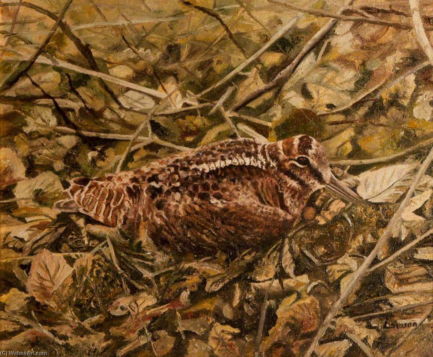 Brown Bird Nesting In Branches — John Andrew Lawson