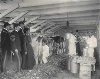 Agriculture Sampling Milk — Frances Benjamin Johnston
