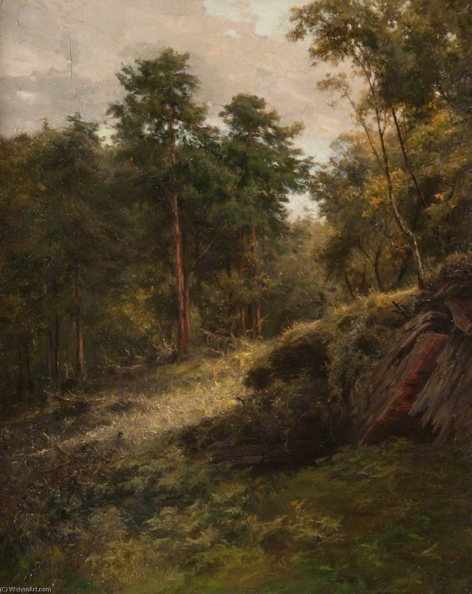 Between Brodick And Corrie, Arran — John Stewart