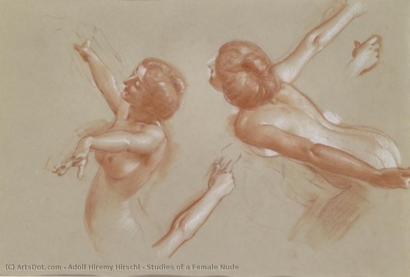Studies Of A Female Nude — Adolf Hiremy Hirschl