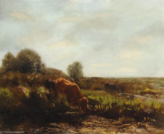 Cows In The Summer Sun — Виллем Марис