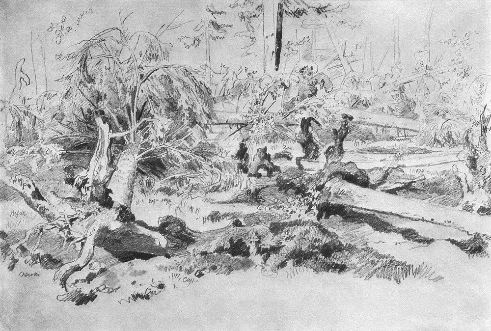 Fallen Tree — Ivan Ivanovich Shishkin