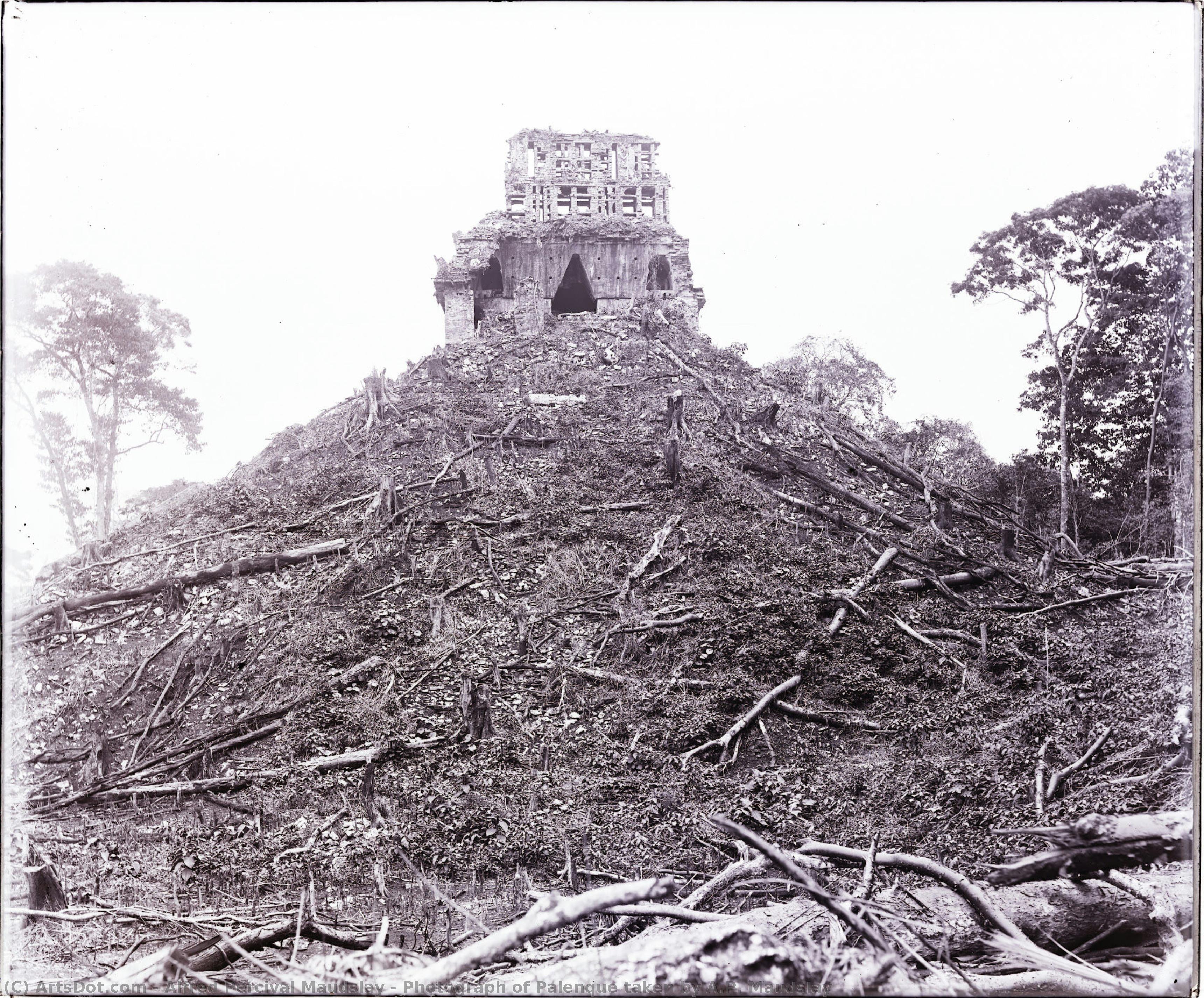 Photograph Of Palenque Taken By A.p. Maudslay — Alfred Percival Maudslay