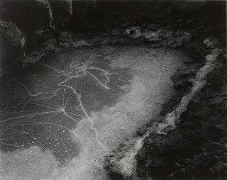 Point Lobos Tide Pool — Wynn Bullock