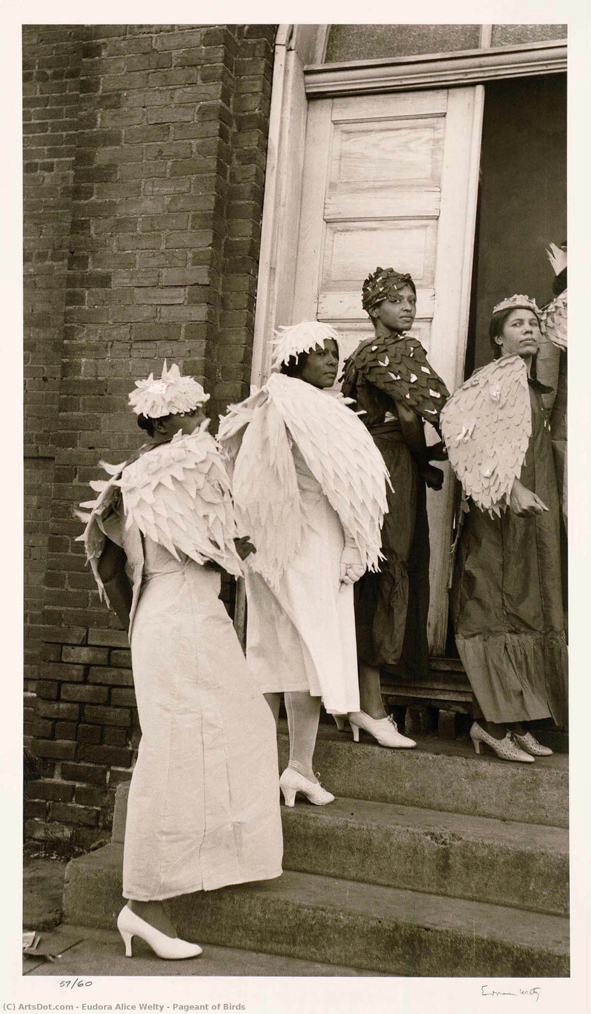 Pageant Of Birds — Eudora Alice Welty